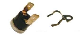 E110K