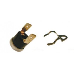 E110K